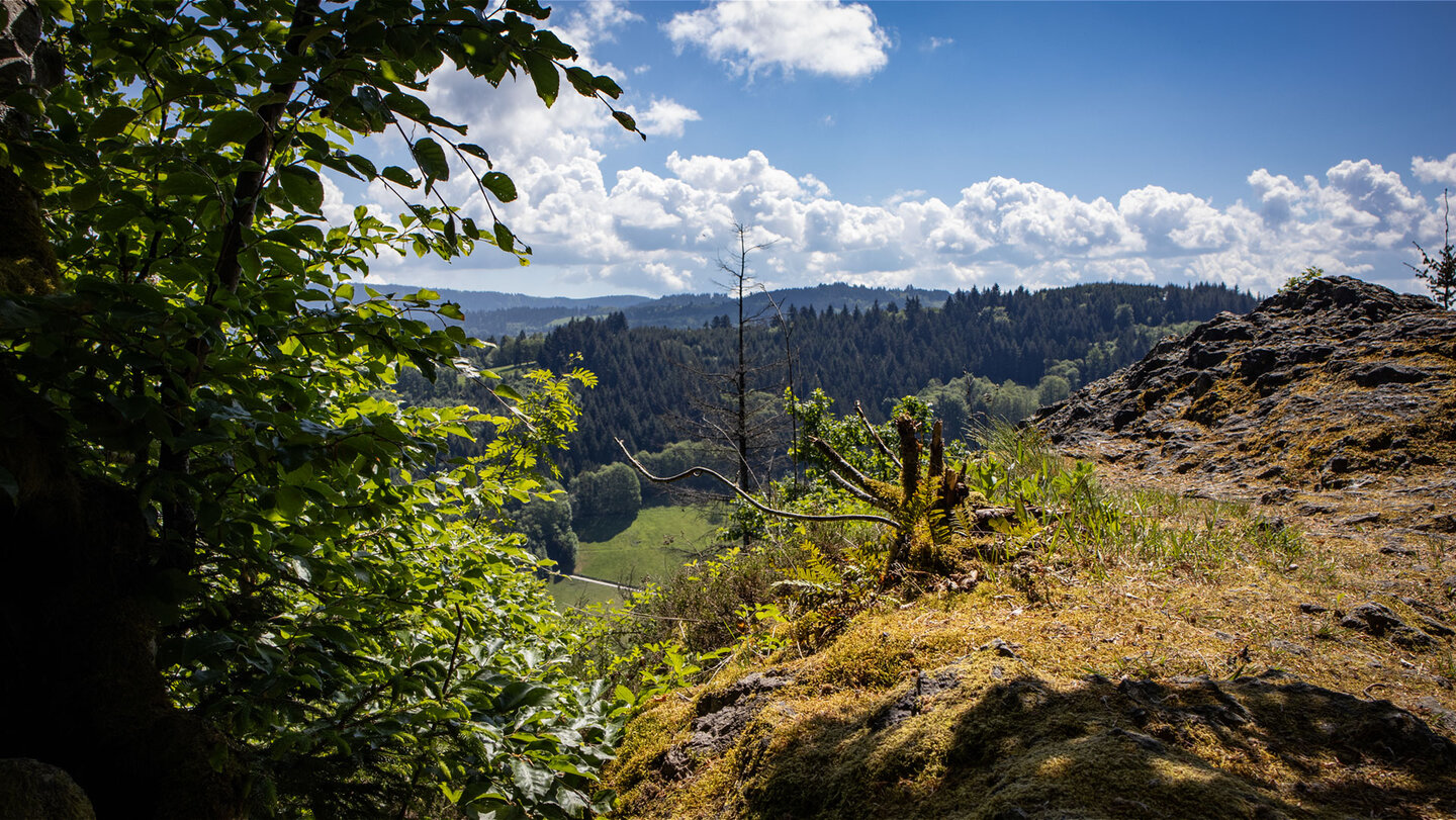 Panorama vom Rappenschrofen