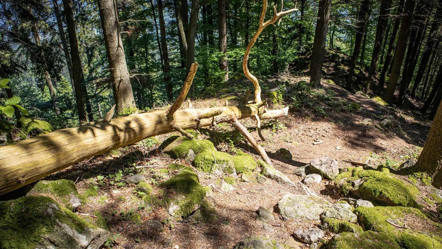 Ottenhöfener Felsenweg