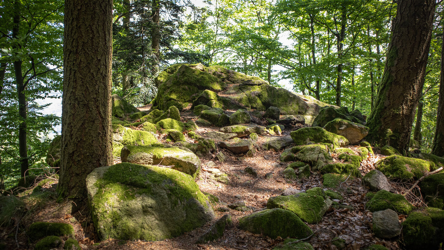 Waldfelsen am Felsenweg Ottenhöfen