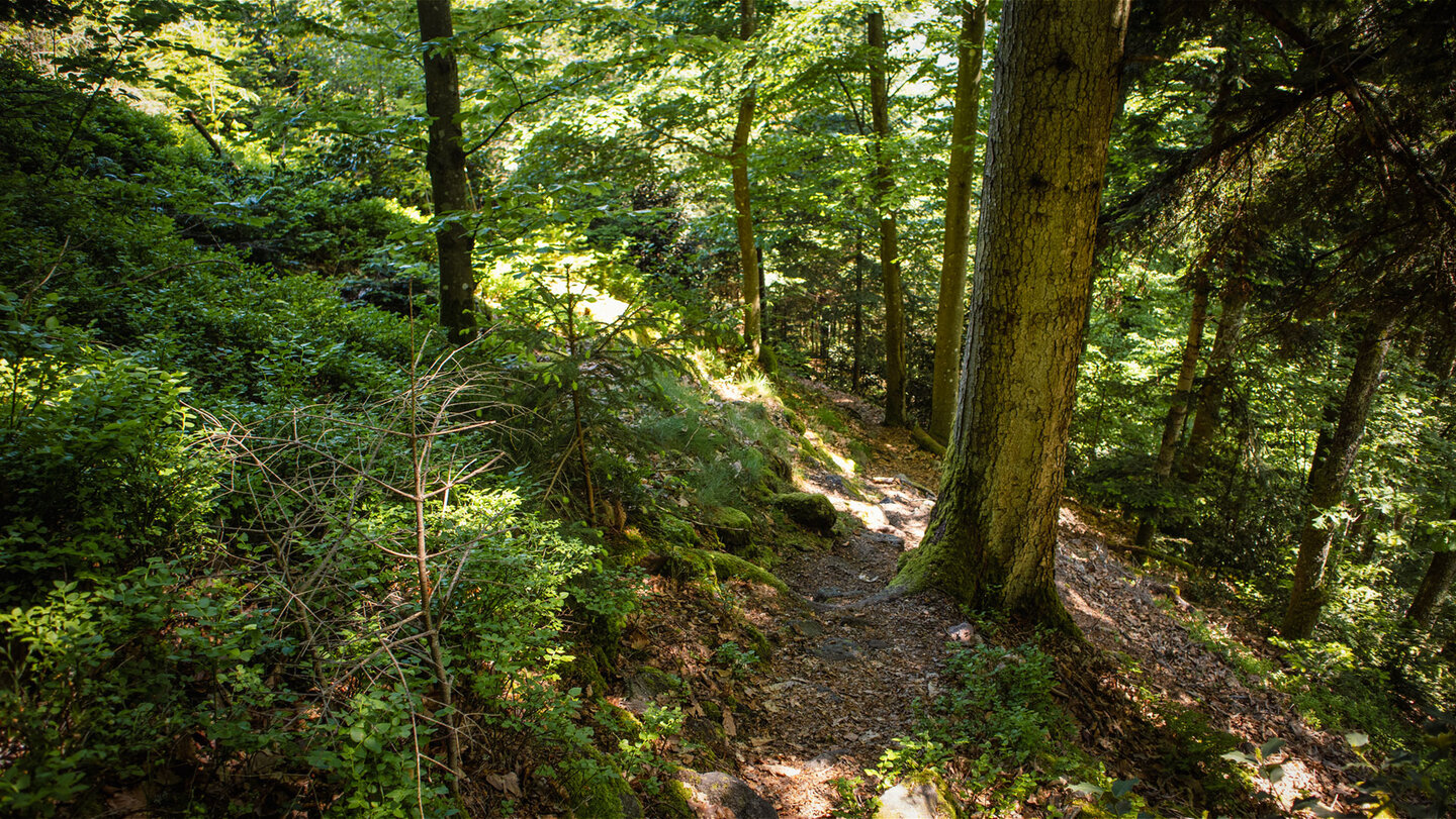 Felsenweg zwischen Breitfelsen und Spitzfelsen