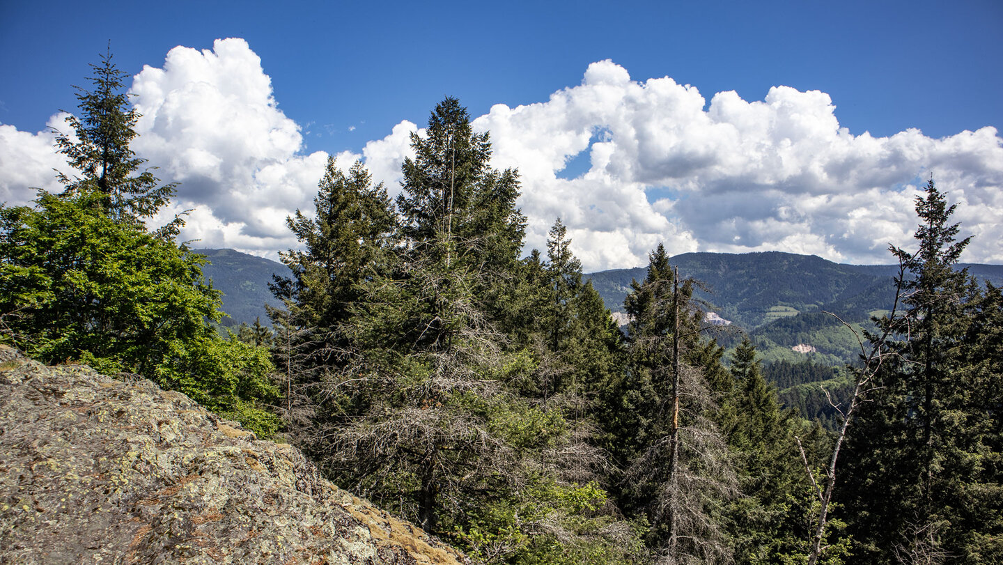 Blick vom Sesselfelsen bis zur Hornisgrinde