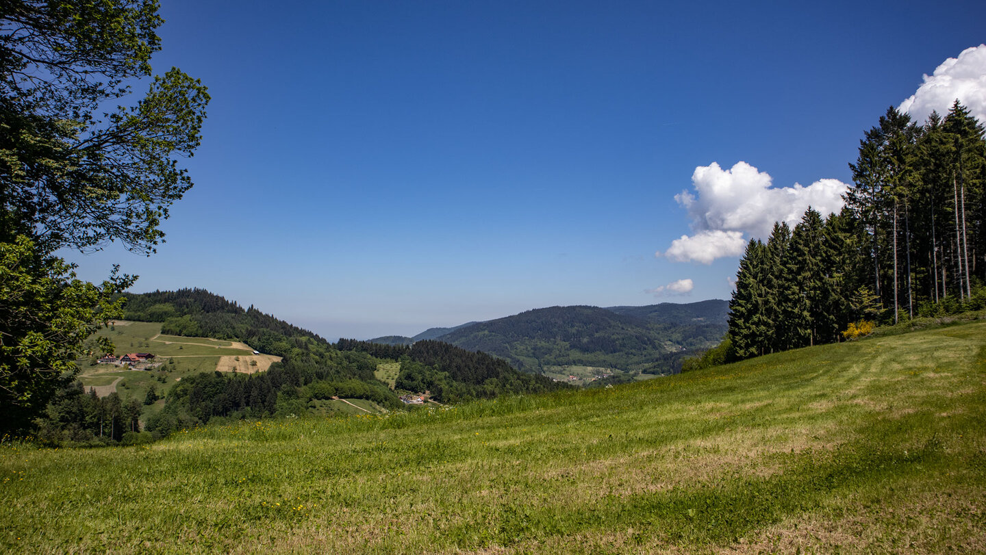 Panorama vom Felsenweg auf Lauenbach