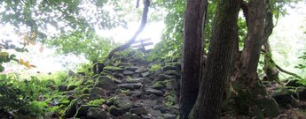 steiniger Aufstieg zum Aussichtspunkt am Geiskopf