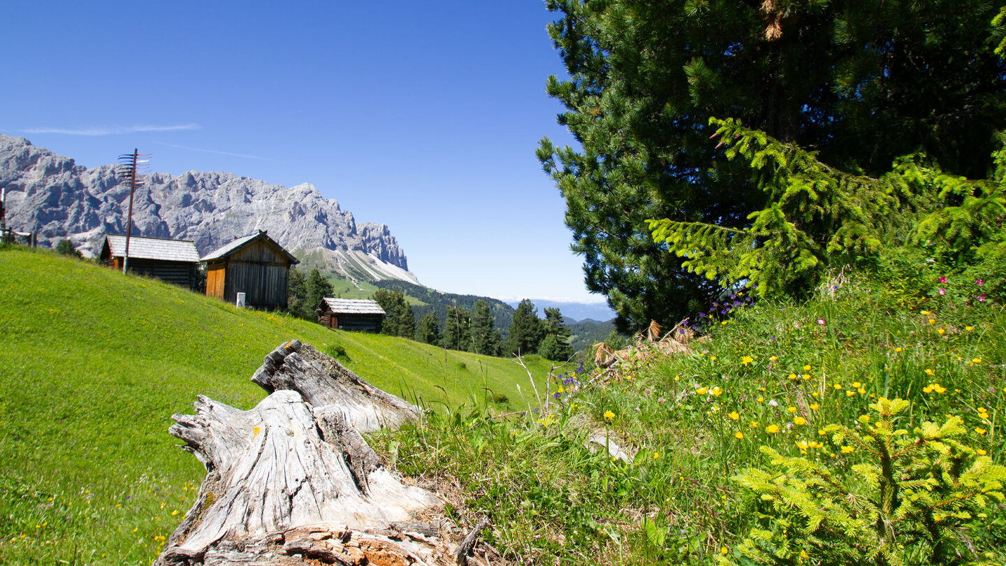 Bergidylle auf der Peitlerkofel-Rundwanderung in Südtirol Bergidylle auf der Peitlerkofel-Rundwanderung in Südtirol