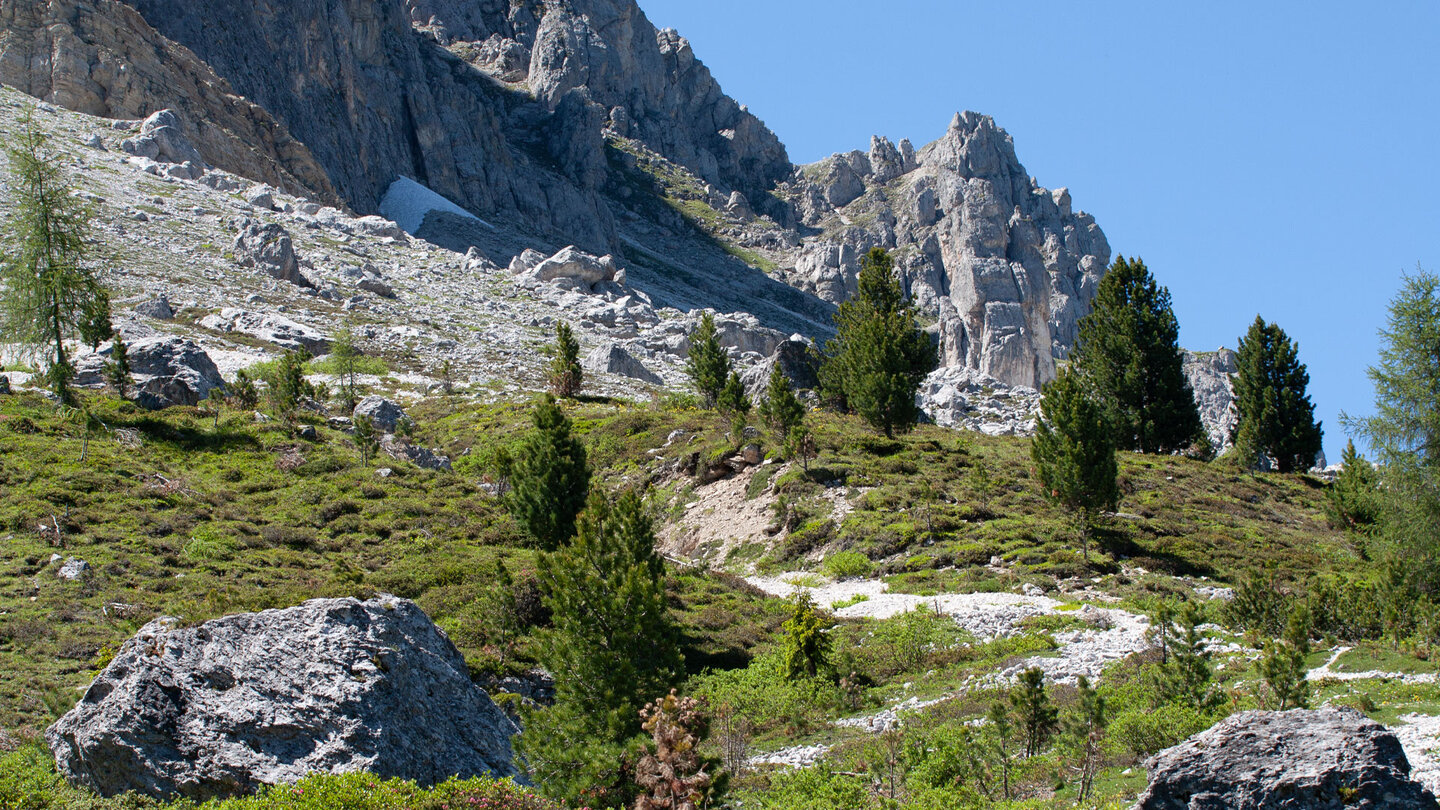 Wanderpfad auf der Peitlerkofel-Rundwanderung Wanderpfad auf der Peitlerkofel-Rundwanderung