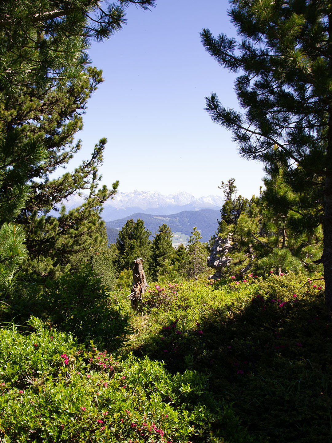 ein Wanderpfad mit beeindruckendem Bergpanorama ein Wanderpfad mit beeindruckendem Bergpanorama