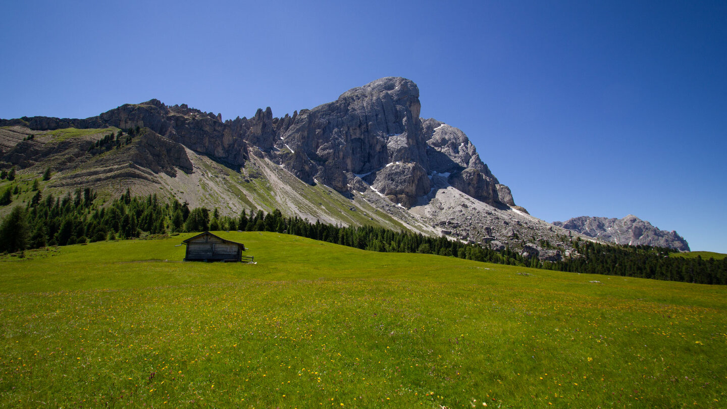 Almwiesen vor dem Peitlerkofel im Naturpark Puez-Geisler Almwiesen vor dem Peitlerkofel im Naturpark Puez-Geisler