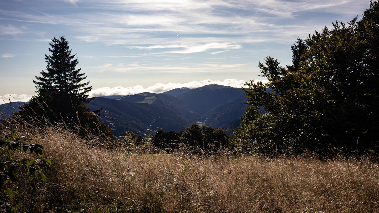 großartiges Schwarzwaldpanorama mit dem Feldberg großartiges Schwarzwaldpanorama mit Feldberg