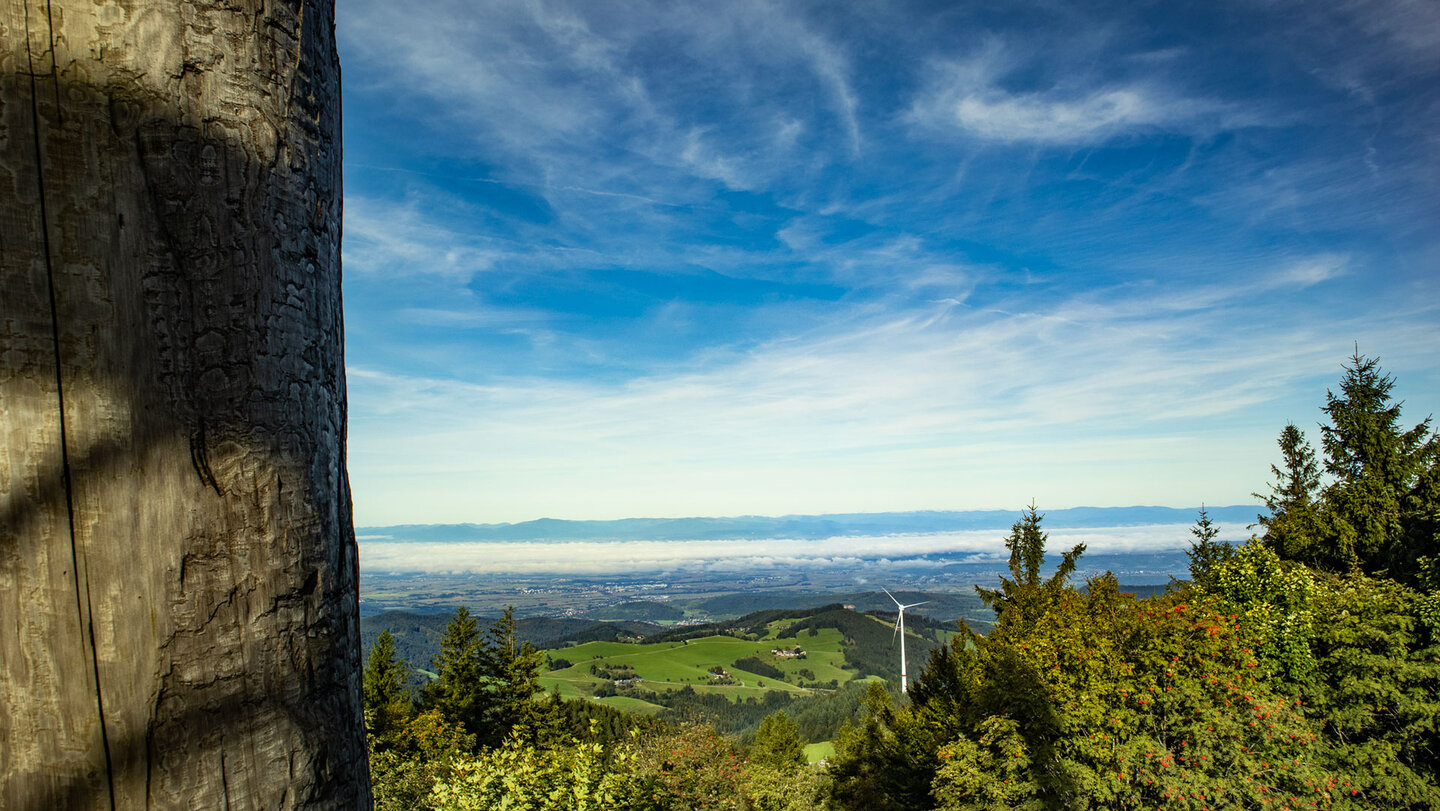 weiter Blick über die Rheinebene mit den Vogesen am Horizont Blick über die Rheinebene mit den Vogesen am Horizont