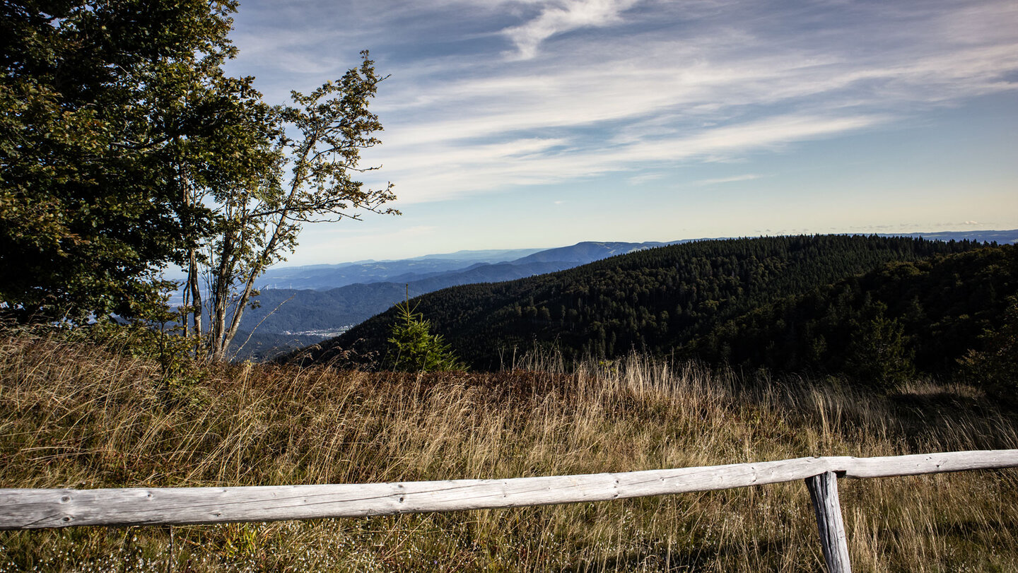 am Schauinsland-Grat genießt man ein fabelhaftes Schwarzwaldpanorama fabelhaftes Schwarzwaldpanorama am Schauinsland-Grat