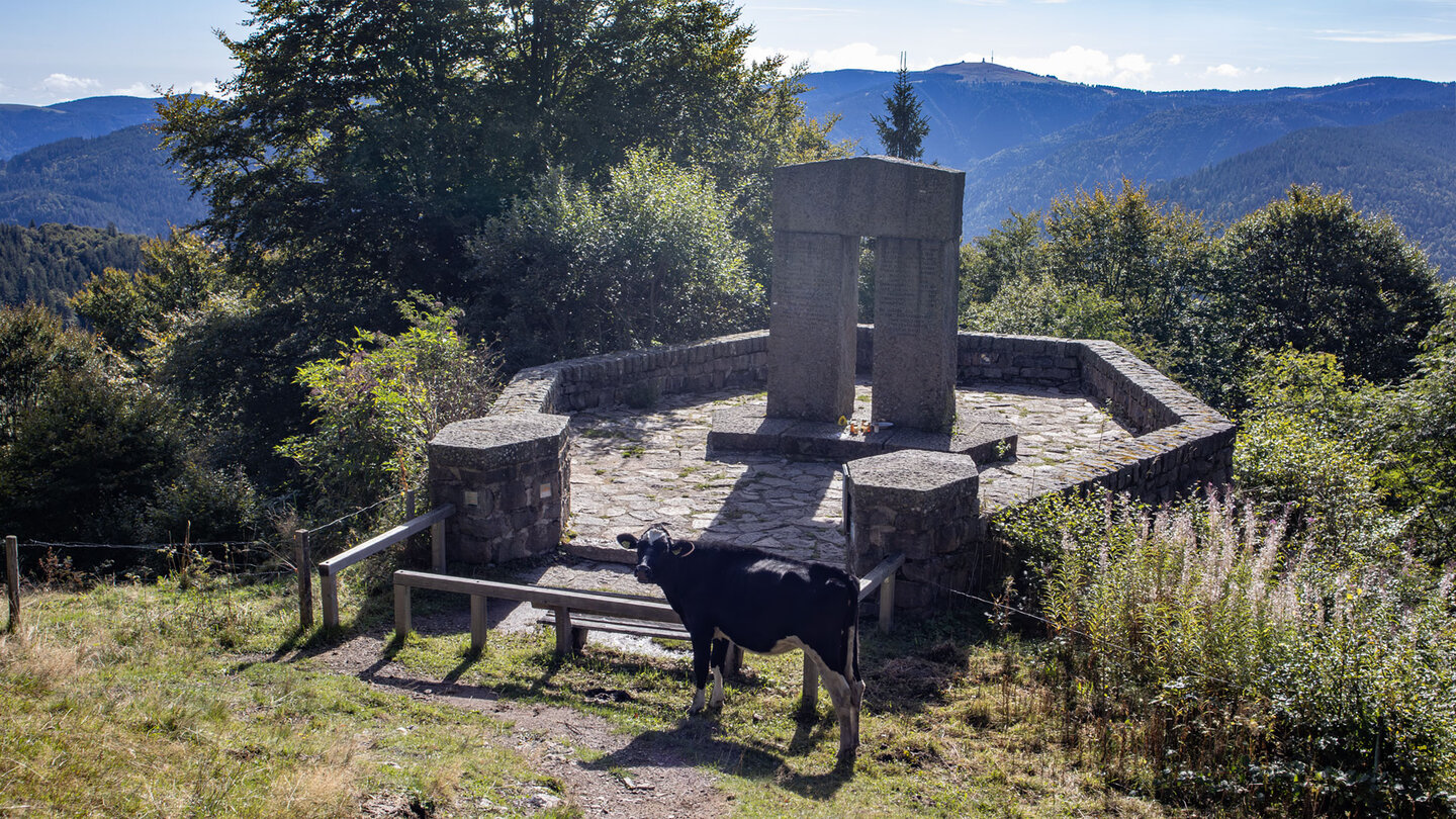 eine Kuh steht vor dem Engländerdenkmal auf dem Schauinsland eine Kuh vor dem Engländerdenkmal auf dem Schauinsland
