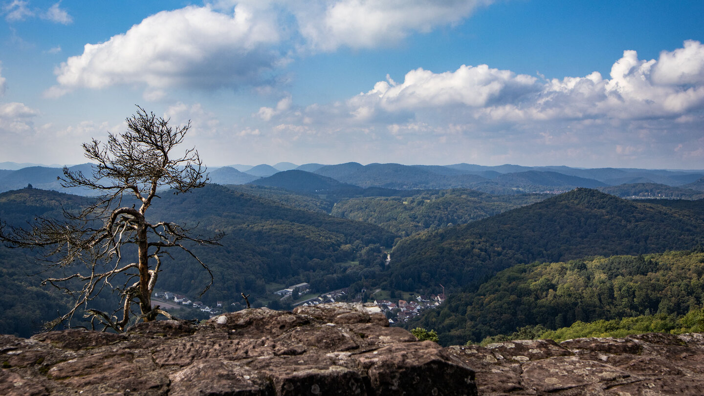 Blick von der Madenburg über Waldhambach und den Pfälzerwald