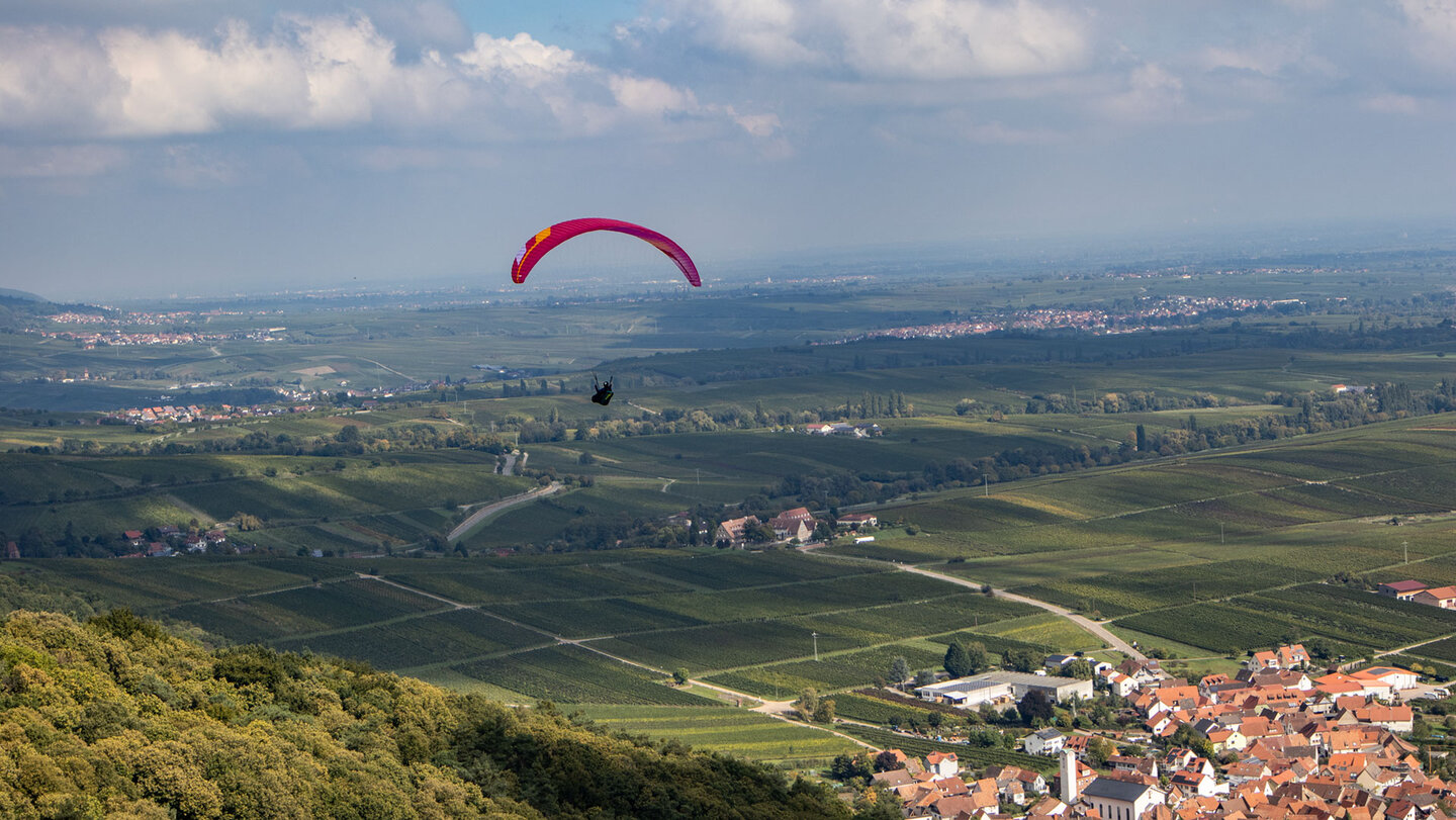 Panorama von der Madenburg über die Weinberge der Südpfalz