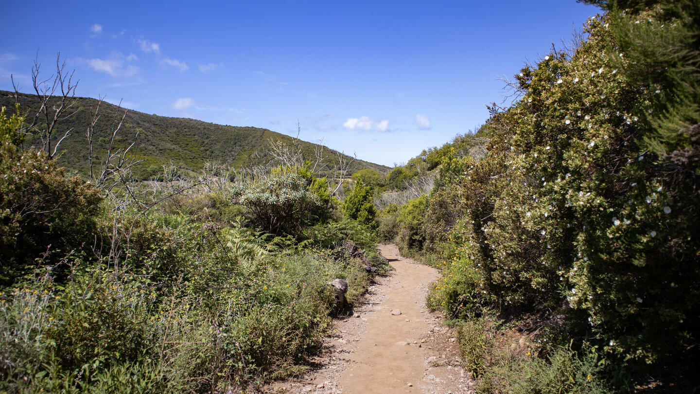 Wanderweg Ruta 14 des Garajonay Nationalpark