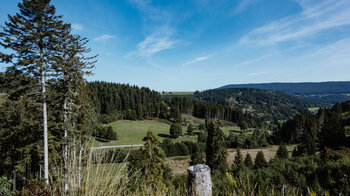 Wanderung durch Wald- und Wiesenlandschaft von Lenzkirch nach Fischbach