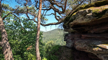 Ausblick am Buchholzfelsen