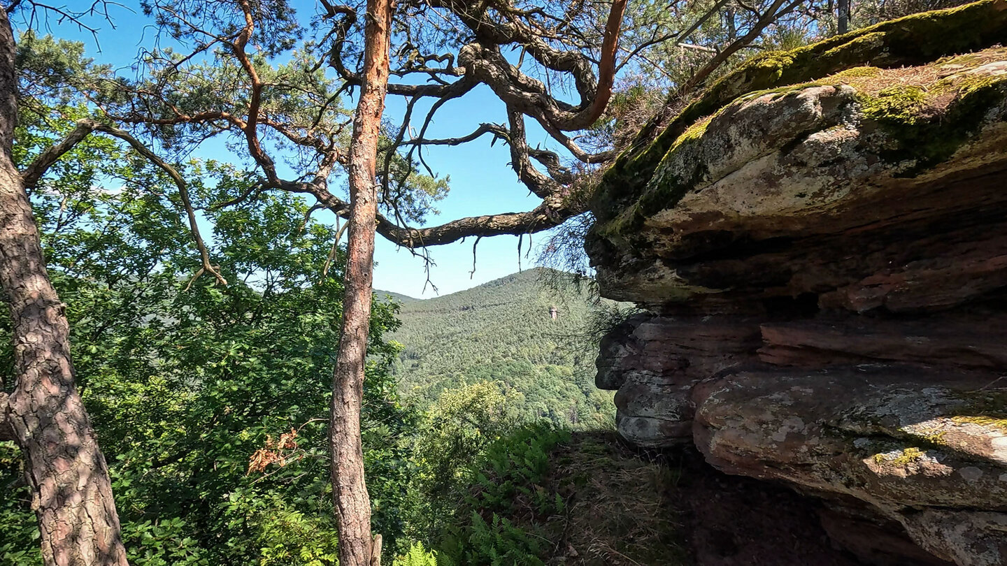 Ausblick am Buchholzfelsen mit dem Schmalbühlfelsen Ausblick am Buchholzfelsen