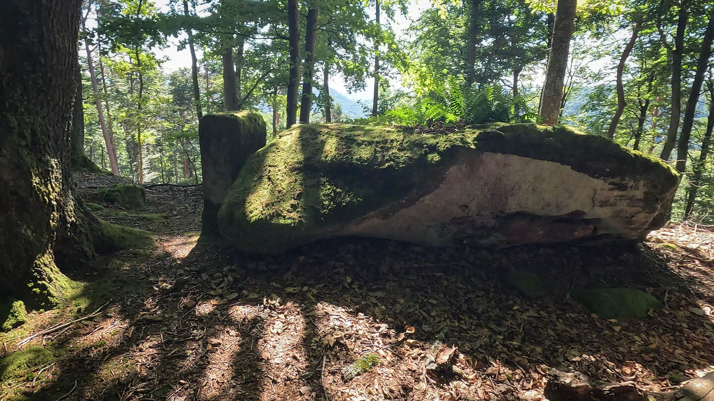 Felsen entlang der Wanderroute am Rindsberg im Pfälzerwald Felsen entlang der Wanderroute am Rindsberg
