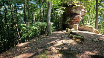 Felsformation beim Gipfel des Rindsbergs