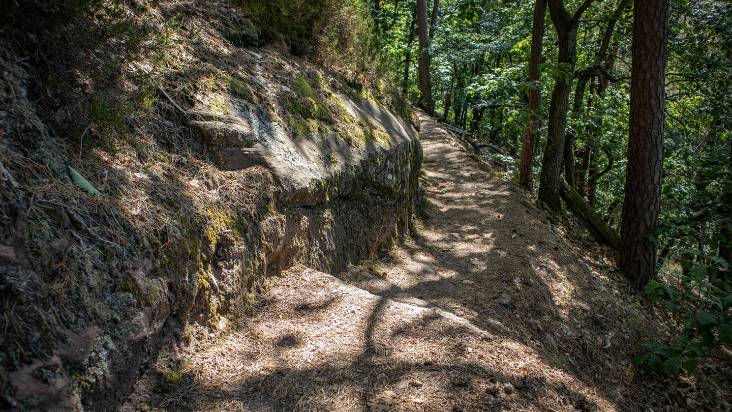 Wanderung auf dem Vogellehrpfad bei Busenberg.
