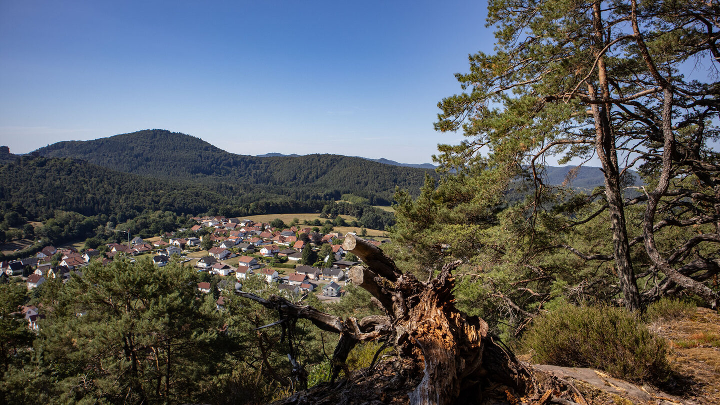 Blick auf Busenberg und die bewaldeten Berge des Wasgau.