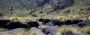 Wanderweg über Lapilliflächen zum Grund der Caldera de Bandama