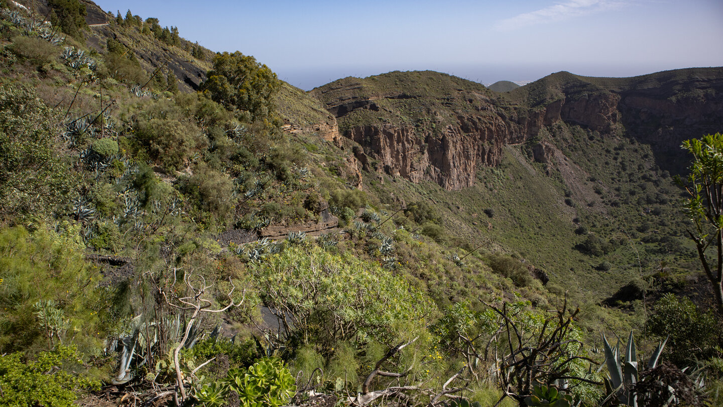 artenreiche Flora entlang der Wanderung in die Caldera de Bandama