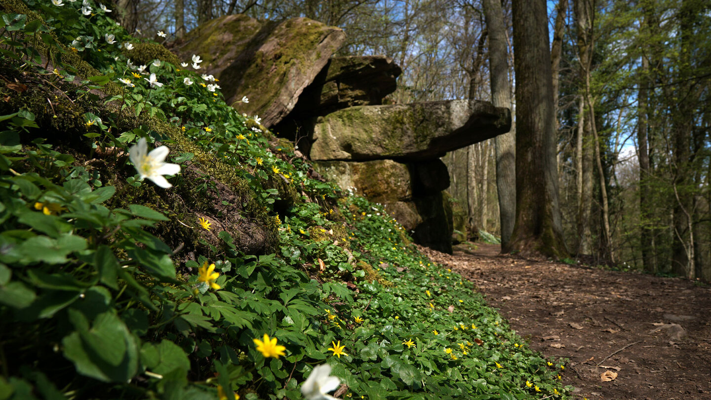 an den Wichtelhöhlen bei Bad Kissingen die Wichtelhöhlen bei Bad Kissingen