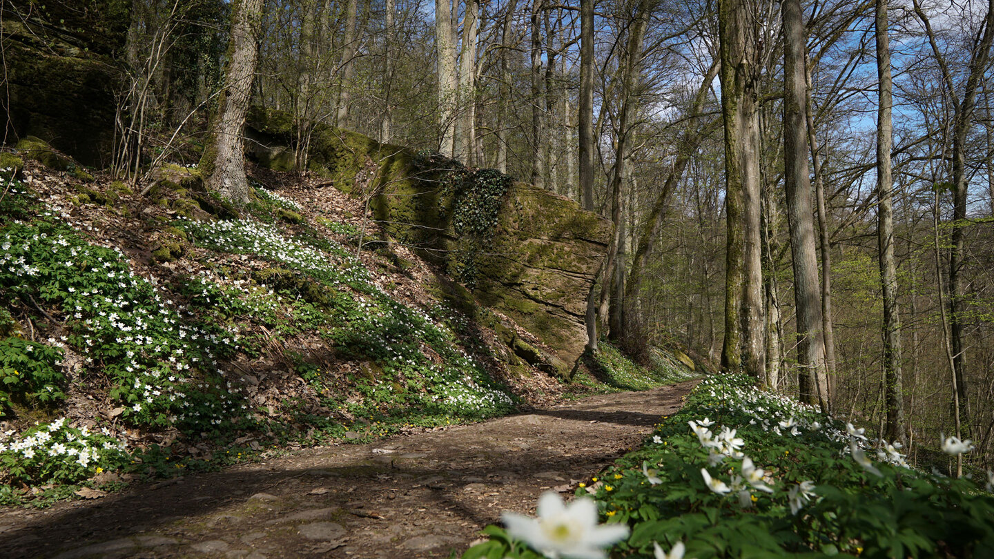 der Weg zu den Wichtelhöhlen bei Bad Kissingen Weg zu den Wichtelhöhlen bei Bad Kissingen
