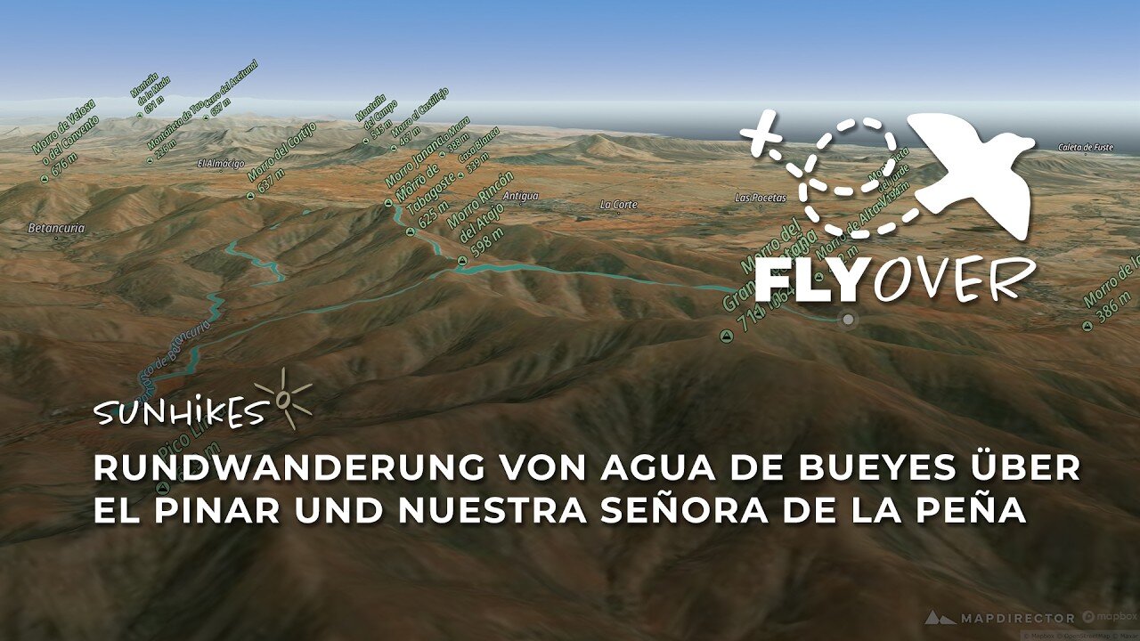 Fuerteventuras grünes Herz im Flyover: Große Rundtour durch den Kiefernwald nach Vega de Río Palmas