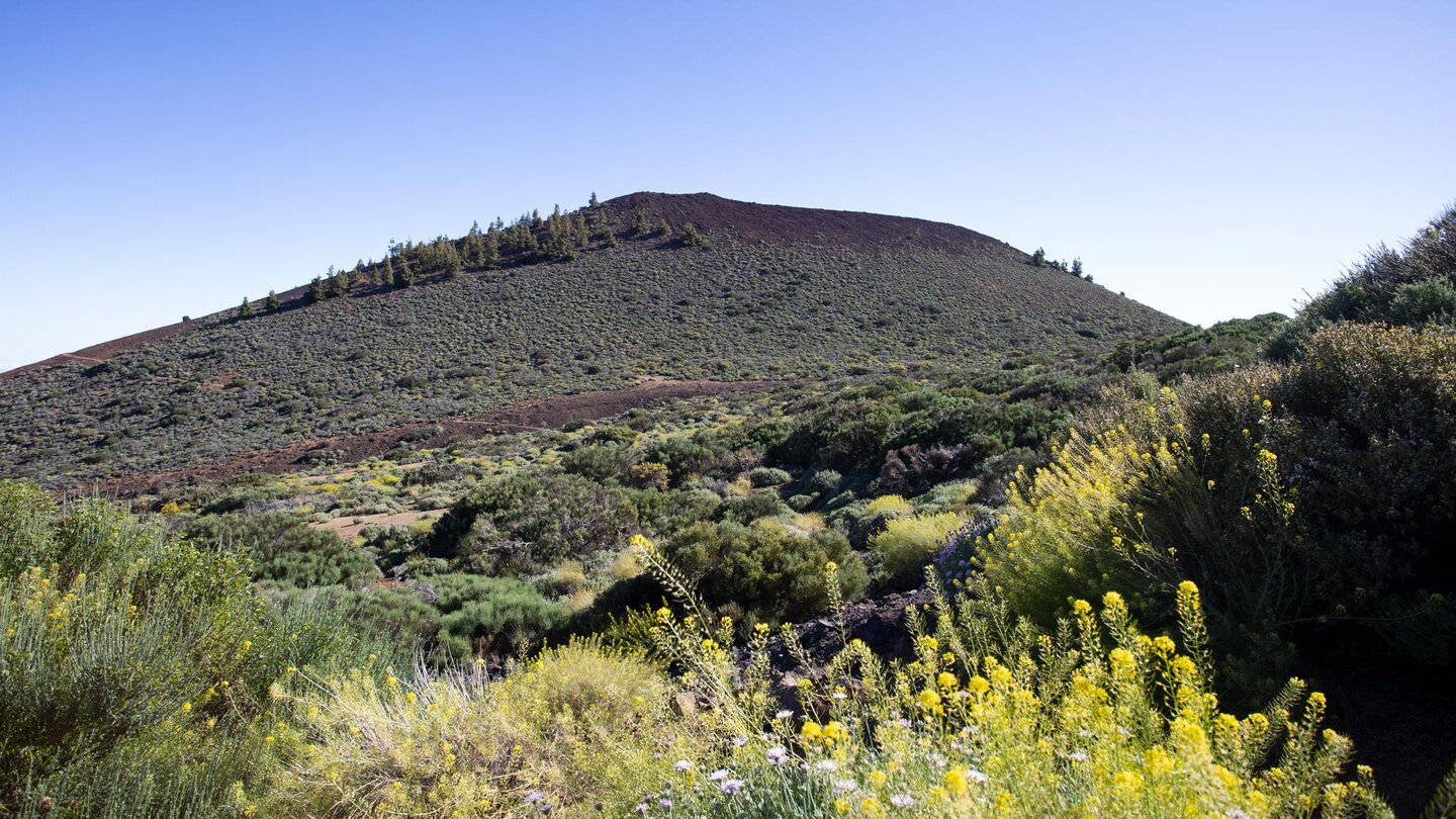 der Vulkankegel des Montaña de Guamaso auf der Rundwanderung