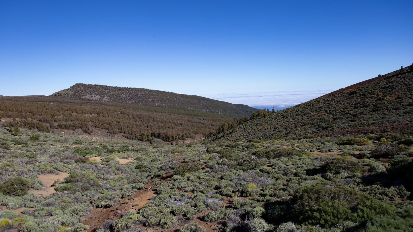 Ausblick vom Montaña de Guamaso zum Bergrücken El Cabezón