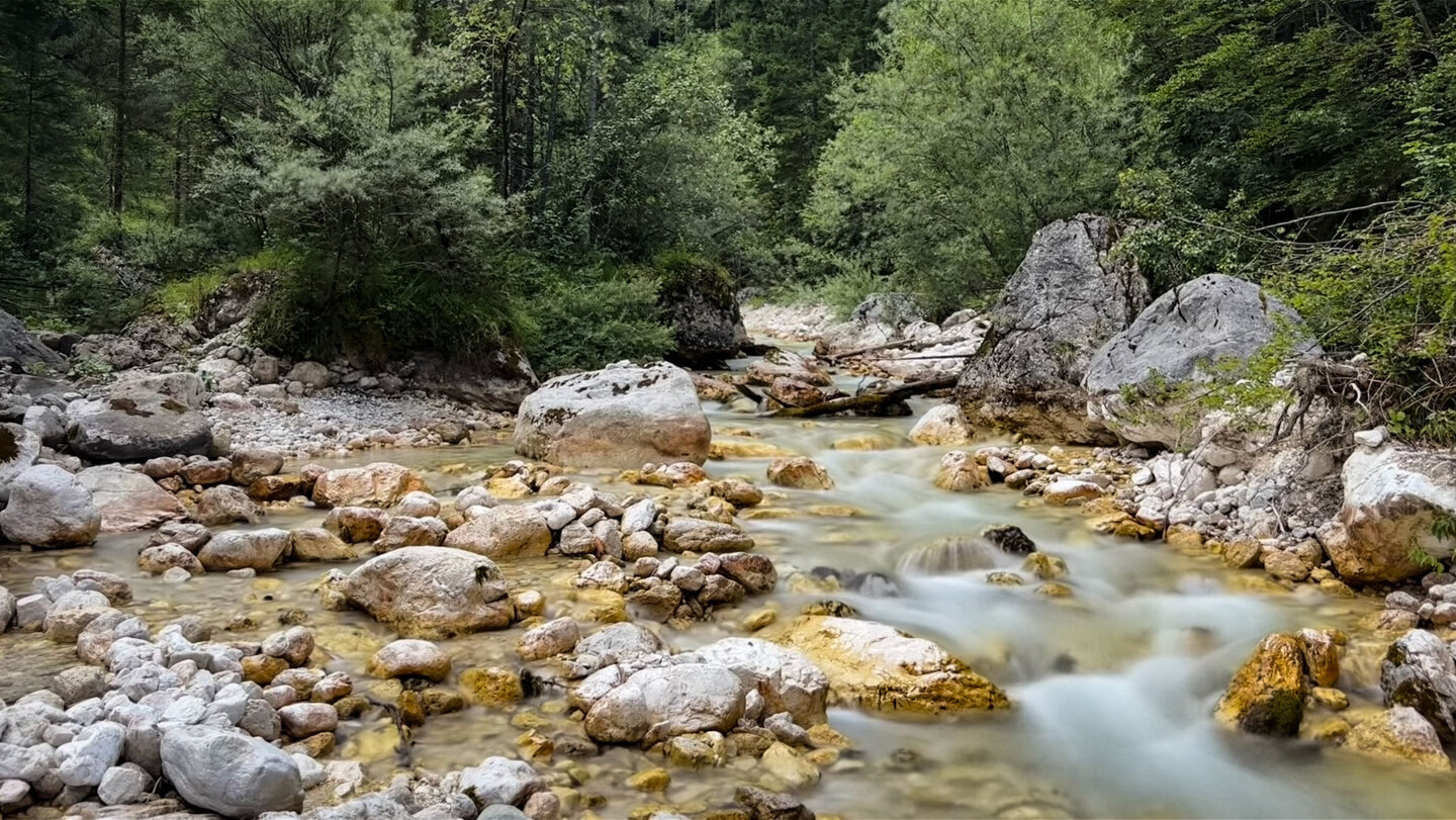 Bachlauf der Pišnica mit hellen Kalksteinen im Triglav-Nationalpark