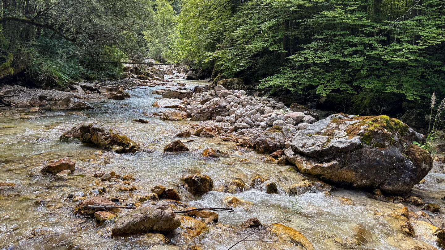 Pišnica mit moosbewachsenen Felsblöcken im Bergwald der Julischen Alpen