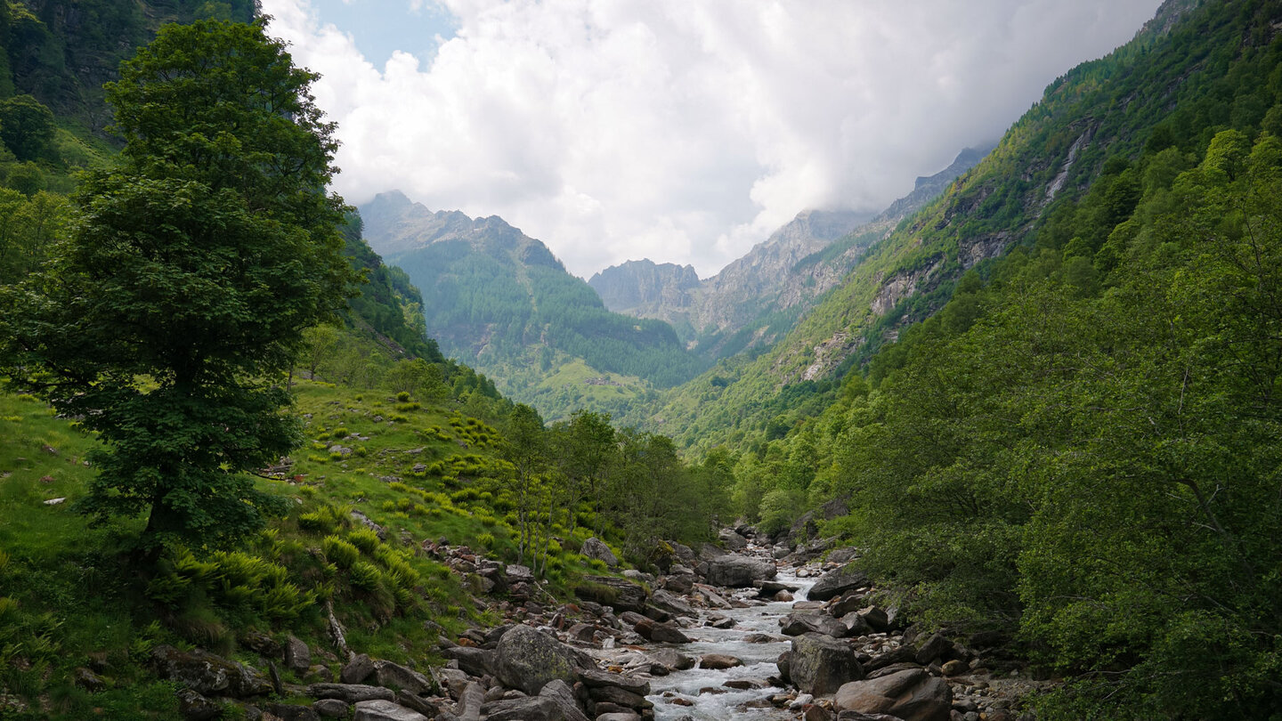 Blick talaufwärts entlang der Redorta Blick entlang der Redorta