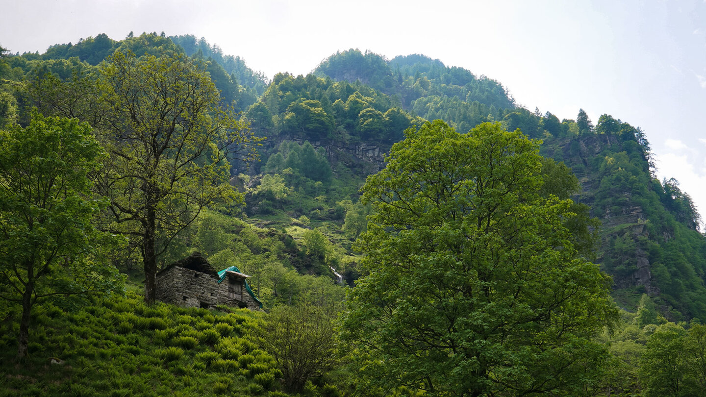 Blick auf die schöne Berglandschaft im Redortatal schöne Berglandschaft im Redortatal