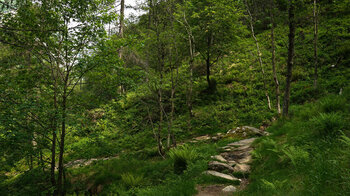 Wanderweg zum Wasserfall