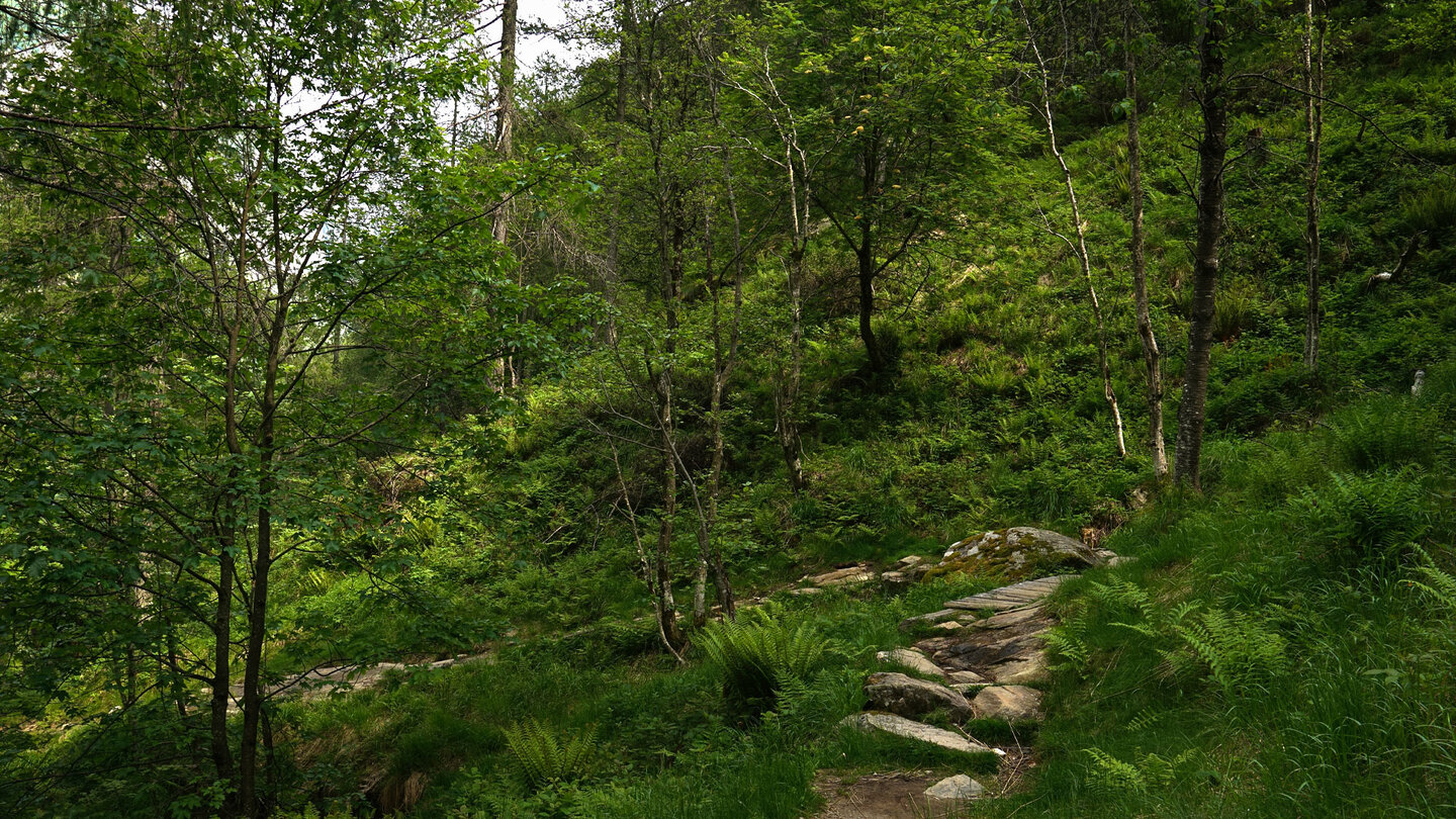 Wanderweg zum Wasserfall Wanderweg zum Wasserfall