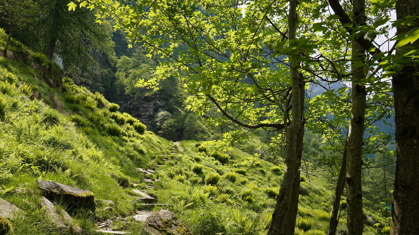 Wanderpfad zur Cascata della Froda Wanderpfad zur Cascata della Froda
