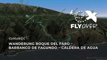 Im Flyover durch wilde Schluchten auf La Palma: Die große Runde über El Tablado und Don Pedro