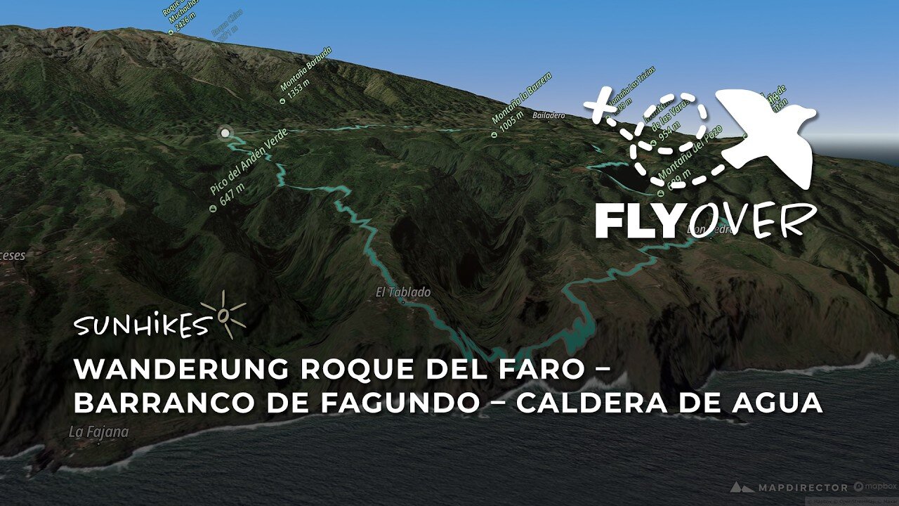 Im Flyover durch wilde Schluchten auf La Palma: Die große Runde über El Tablado und Don Pedro