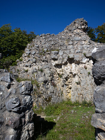 Mauerreste der Ruine Falkenstein