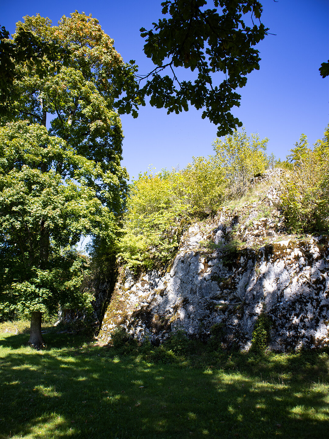 Graben der Oberburg der Burgruine Falkenstein