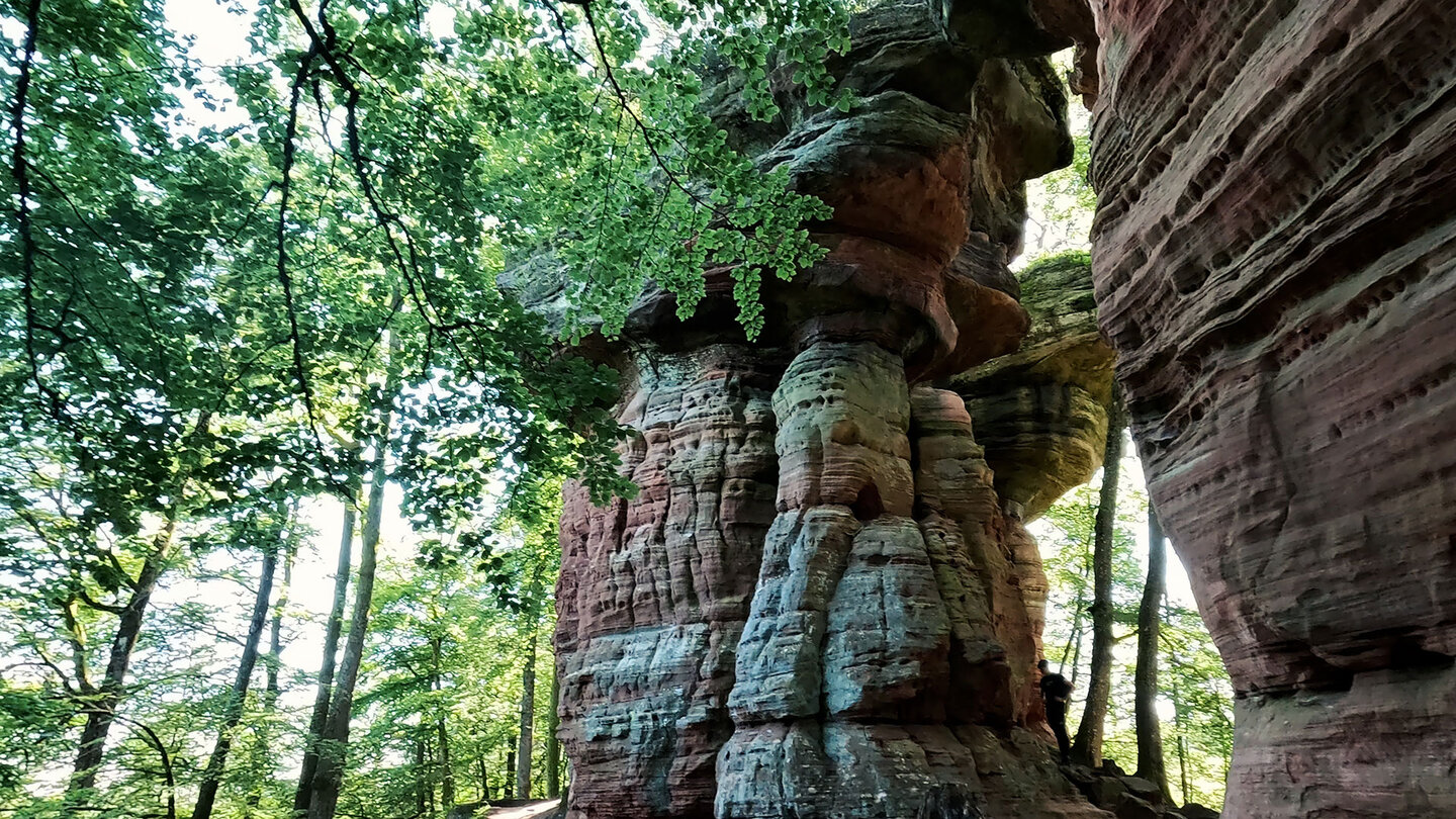 das »Alte Schloss« – Felsformationen der Altschlossfelsen Felsformationen der Altschlossfelsen