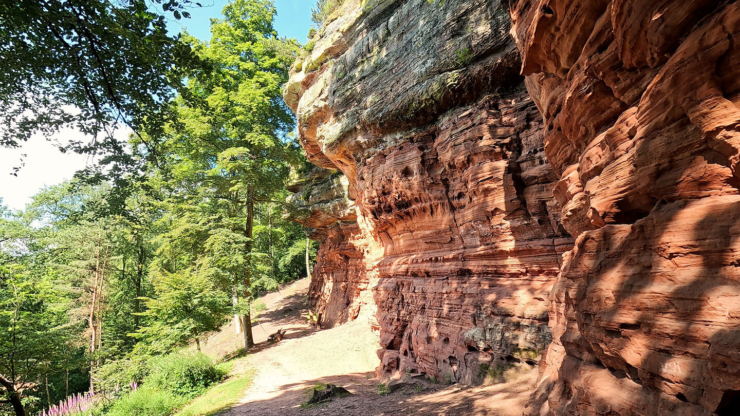 Wanderweg entlang der Altschlossfelsen bei Eppenbrunn Wanderweg entlang der Altschlossfelsen