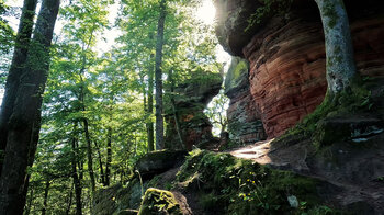 Buntsandsteinformation Altschlossfelsen im Pfälzerwald