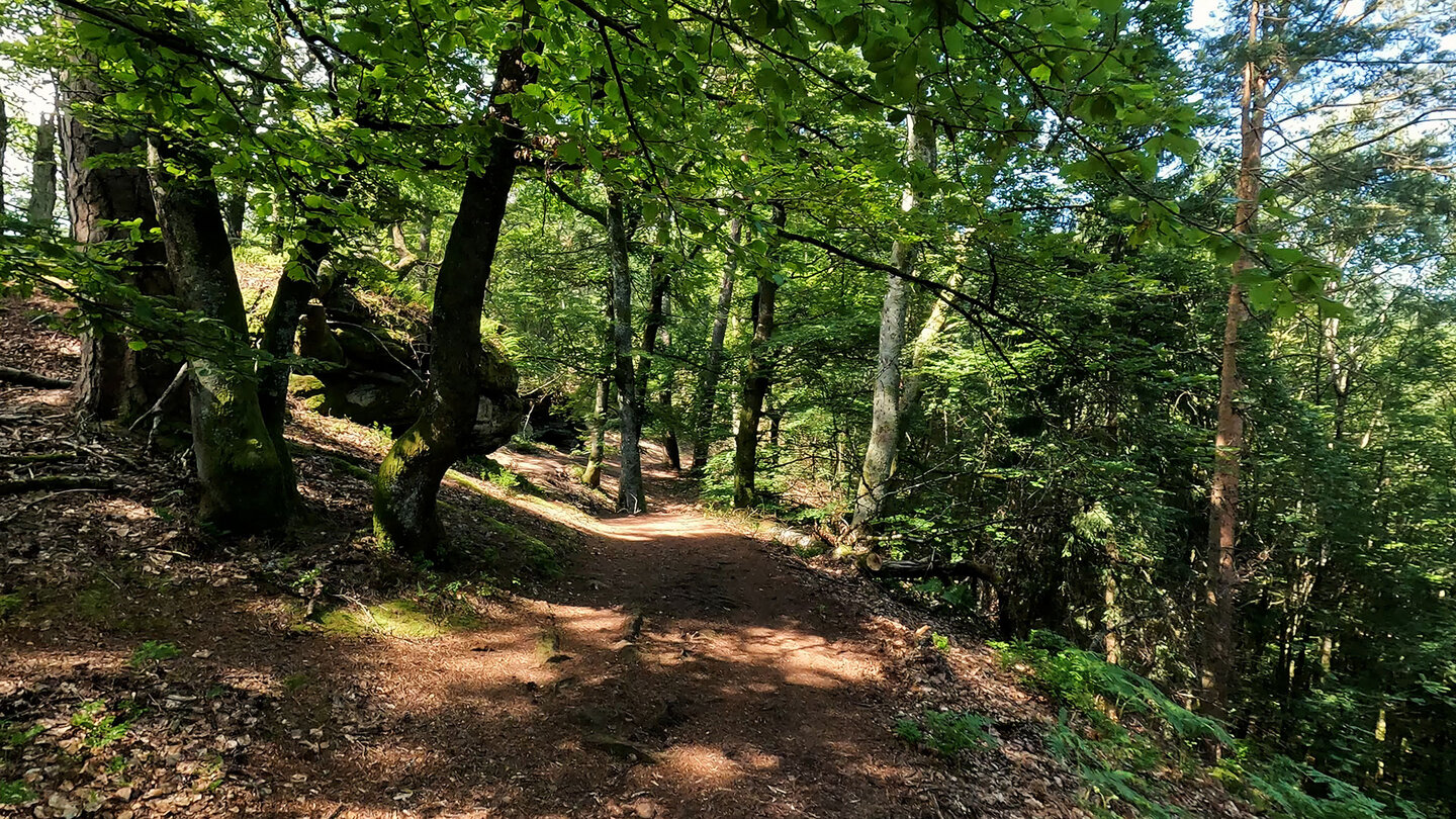 der Altschlosspfad auf dem Rücken der Altschlossfelsen der Altschlosspfad auf den Altschlossfelsen