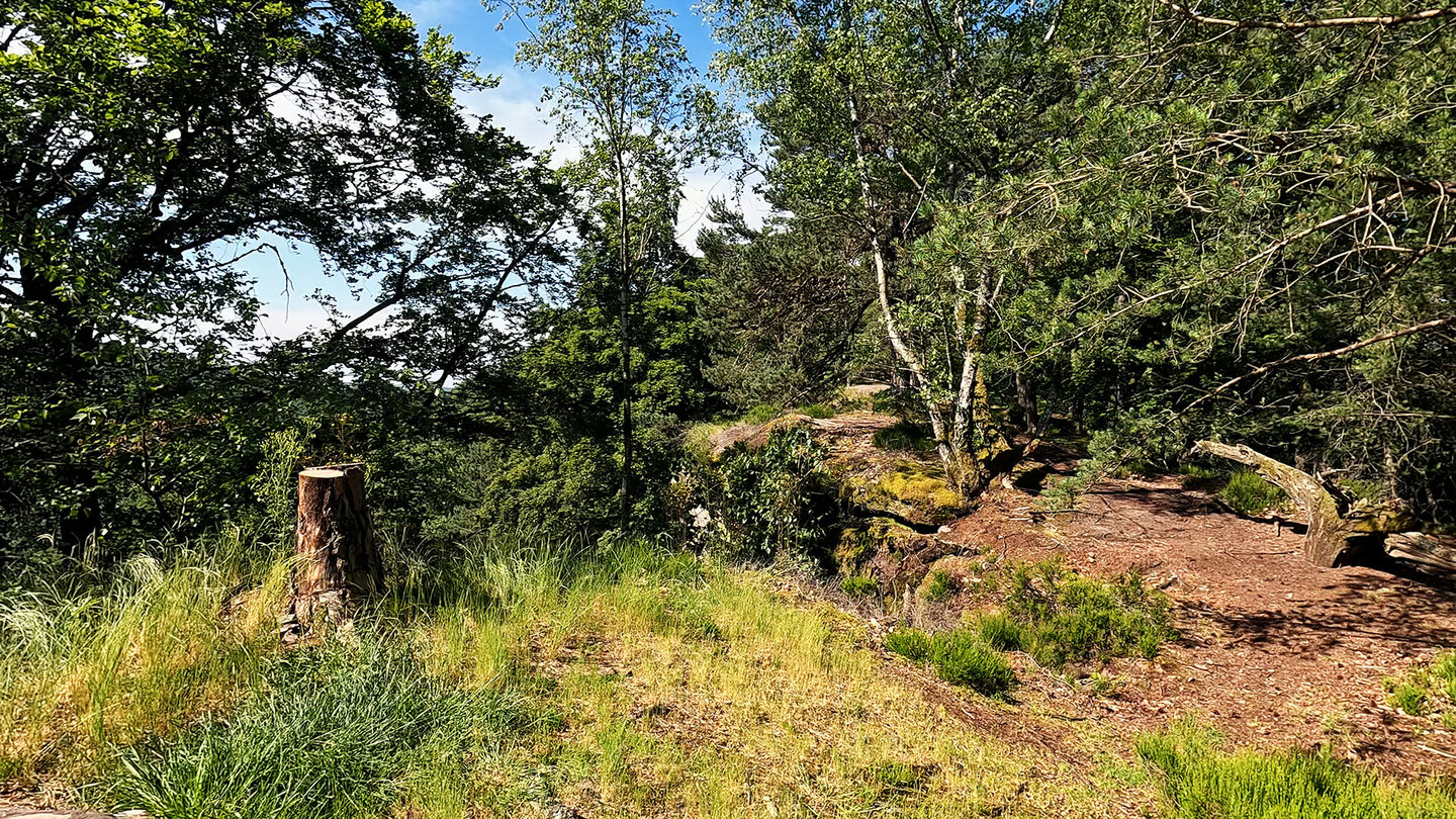 Wanderpfad auf dem Sandsteinband der Altschlossfelsen Wanderpfad auf dem Sandsteinband der Altschlossfelsen