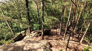 Wanderroute am südwestlichen Ende der Altschlossfelsen nahe Roppeviller