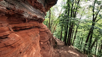 Buntsandsteinfelsen entlang der Altschlossfelsen